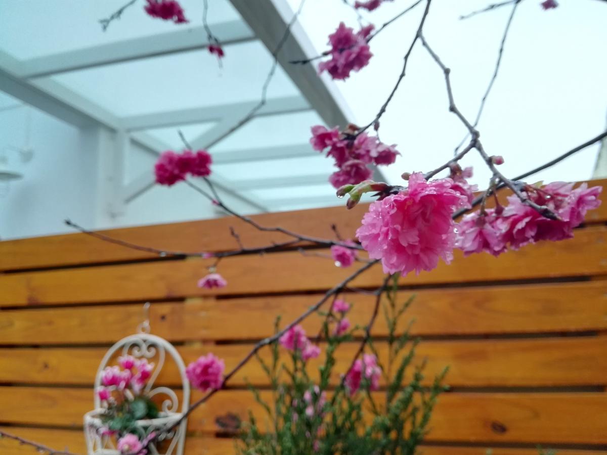 Cloud & Green Private Guest House Puli Ngoại thất bức ảnh